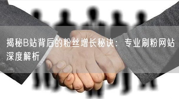 揭秘B站背后的粉丝增长秘诀:专业刷粉网站深度解析