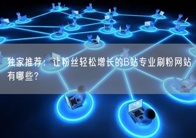 独家推荐:让粉丝轻松增长的B站专业刷粉网站有哪些?