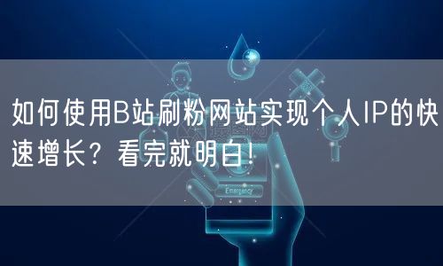 如何使用B站刷粉网站实现个人IP的快速增长?看完就明白!