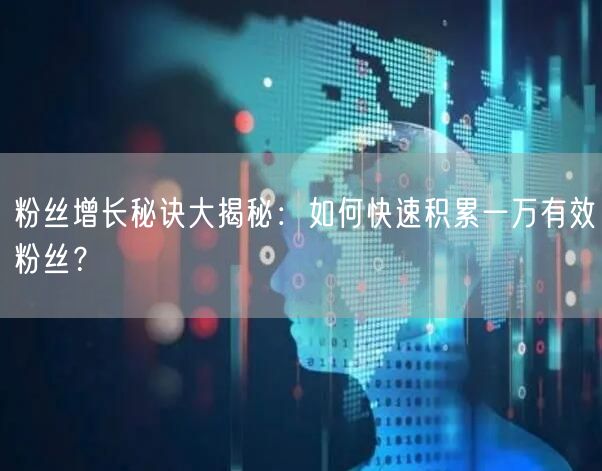 粉丝增长秘诀大揭秘:如何快速积累一万有效粉丝?