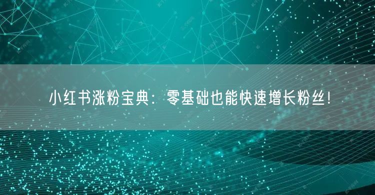 小红书涨粉宝典:零基础也能快速增长粉丝!