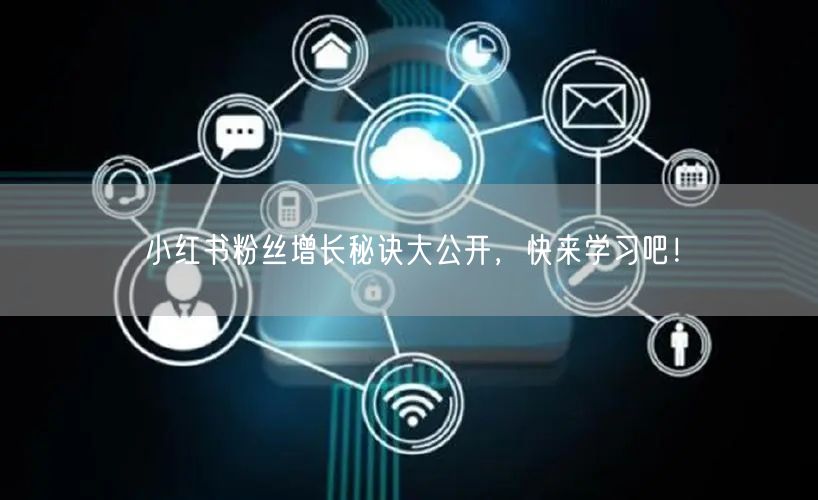 小红书粉丝增长秘诀大公开,快来学习吧!