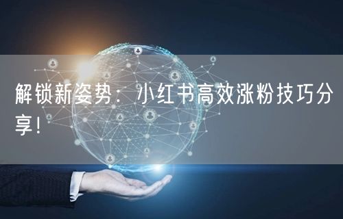 解锁新姿势:小红书高效涨粉技巧分享!