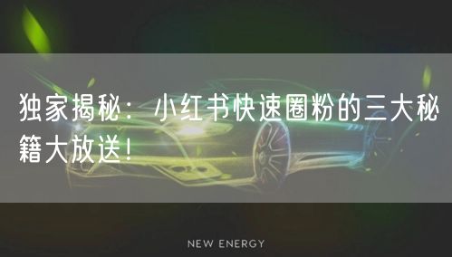 独家揭秘:小红书快速圈粉的三大秘籍大放送!