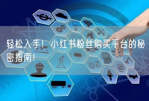 轻松入手!小红书粉丝购买平台的秘密指南!