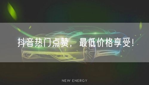 抖音热门点赞,最低价格享受!