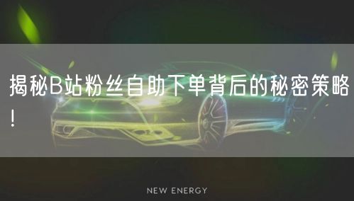揭秘B站粉丝自助下单背后的秘密策略!