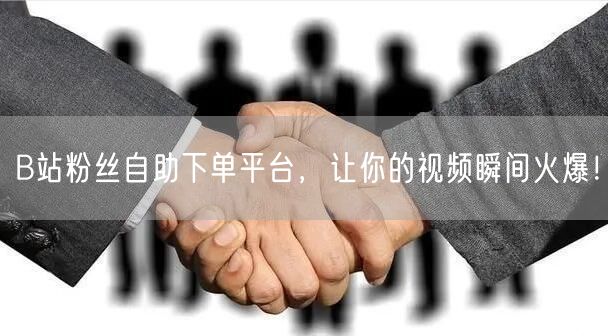 B站粉丝自助下单平台,让你的视频瞬间火爆!