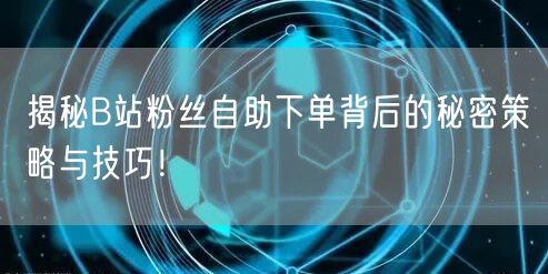 揭秘B站粉丝自助下单背后的秘密策略与技巧!