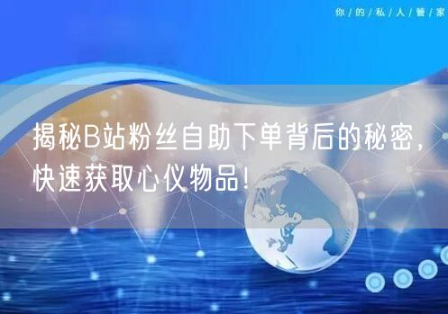 揭秘B站粉丝自助下单背后的秘密,快速获取心仪物品!