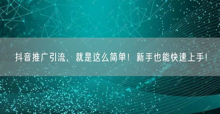 抖音推广引流,就是这么简单!新手也能快速上手!