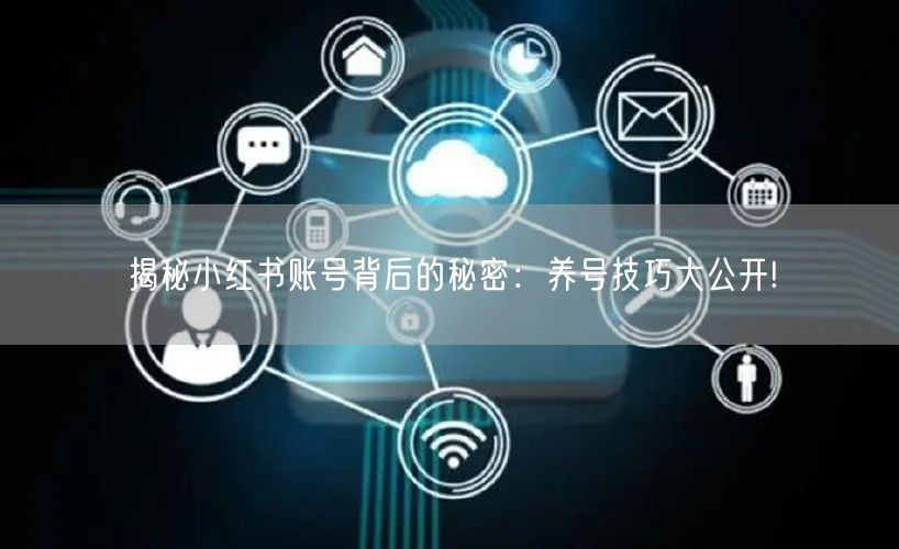 揭秘小红书账号背后的秘密:养号技巧大公开!