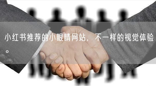 小红书推荐的小眼睛网站,不一样的视觉体验。