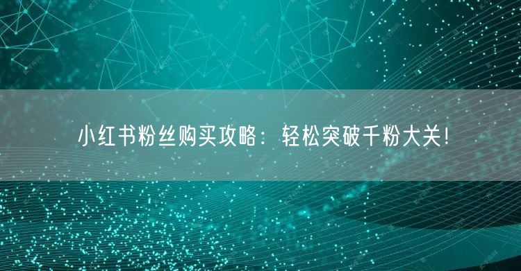 小红书粉丝购买攻略:轻松突破千粉大关!
