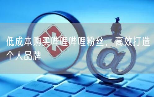 低成本购买哔哩哔哩粉丝,高效打造个人品牌