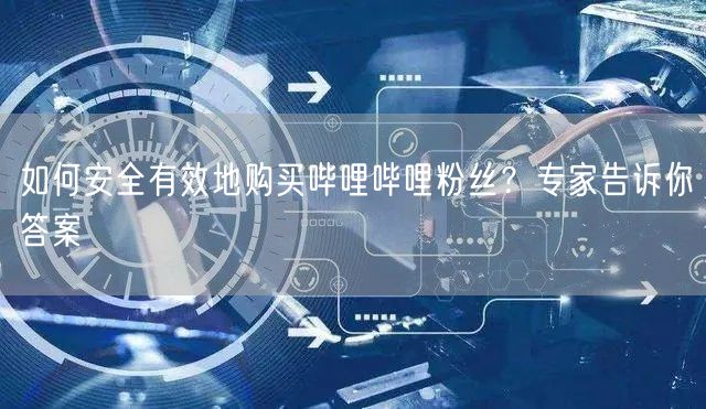 如何安全有效地购买哔哩哔哩粉丝?专家告诉你答案