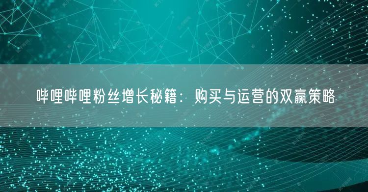 哔哩哔哩粉丝增长秘籍:购买与运营的双赢策略