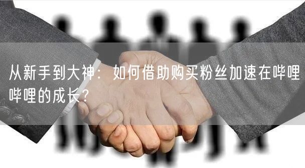 从新手到大神:如何借助购买粉丝加速在哔哩哔哩的成长?