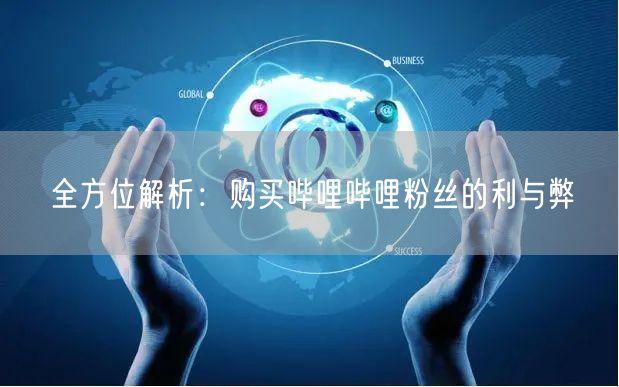 全方位解析:购买哔哩哔哩粉丝的利与弊