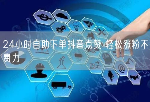 24小时自助下单抖音点赞 轻松涨粉不费力