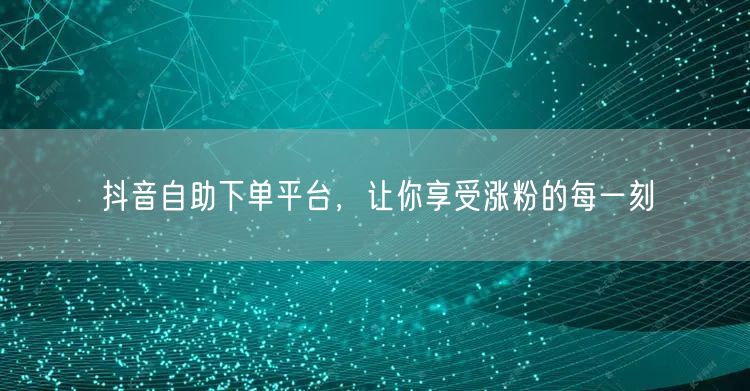 抖音自助下单平台，让你享受涨粉的每一刻