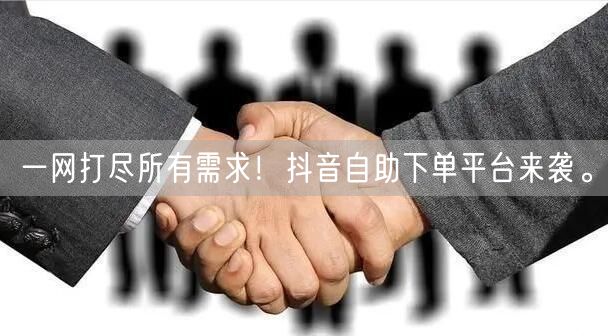 一网打尽所有需求！抖音自助下单平台来袭。