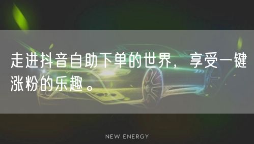 走进抖音自助下单的世界，享受一键涨粉的乐趣。