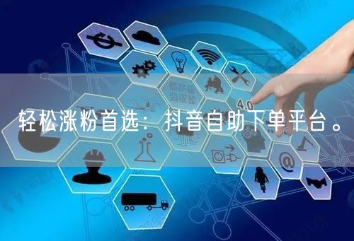 轻松涨粉首选：抖音自助下单平台。