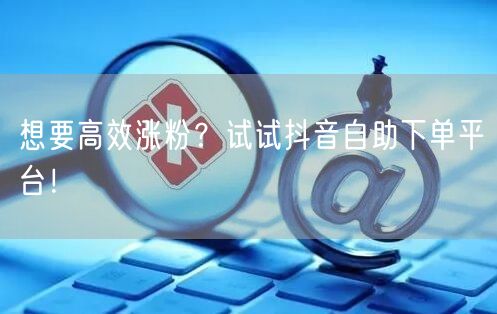 想要高效涨粉？试试抖音自助下单平台！