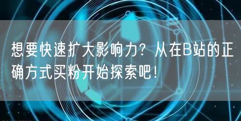 想要快速扩大影响力？从在B站的正确方式买粉开始探索吧！