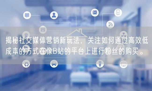 揭秘社交媒体营销新玩法，关注如何通过高效低成本的方式在像B站的平台上进行粉丝的购买。