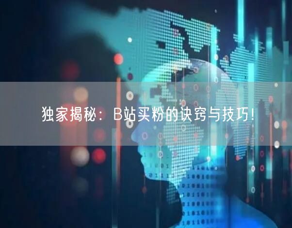 独家揭秘：B站买粉的诀窍与技巧！