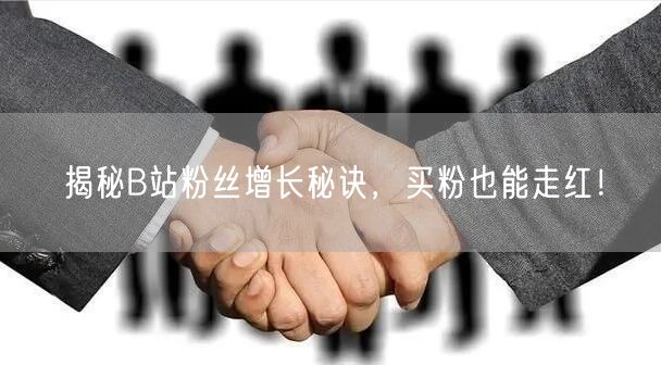 揭秘B站粉丝增长秘诀，买粉也能走红！