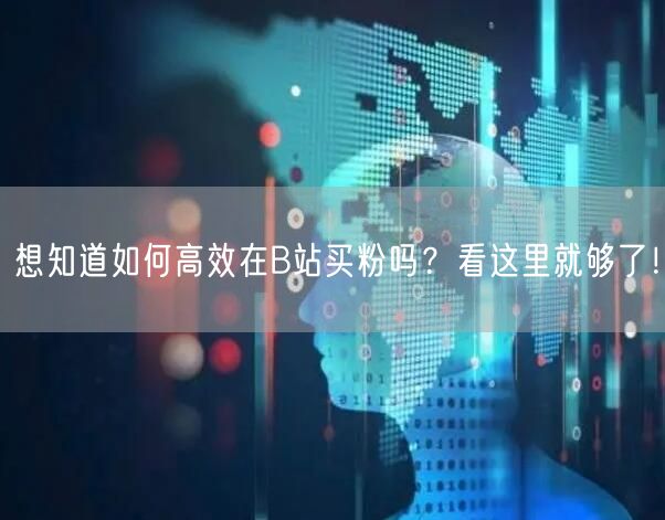 想知道如何高效在B站买粉吗？看这里就够了！