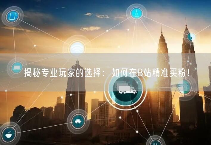 揭秘专业玩家的选择：如何在B站精准买粉！