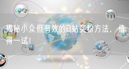 揭秘小众但有效的B站买粉方法，值得一试！