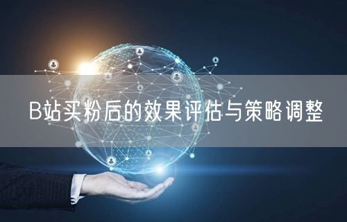 B站买粉后的效果评估与策略调整