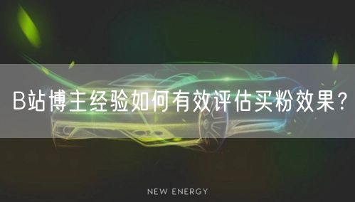 B站博主经验如何有效评估买粉效果？