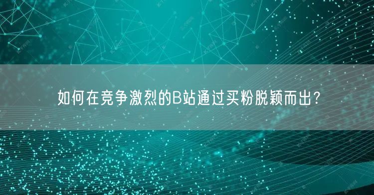 如何在竞争激烈的B站通过买粉脱颖而出？