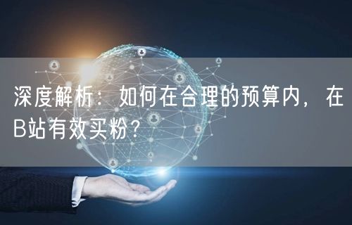 深度解析：如何在合理的预算内，在B站有效买粉？