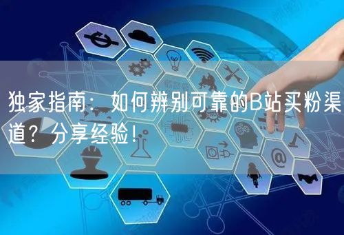 独家指南：如何辨别可靠的B站买粉渠道？分享经验！